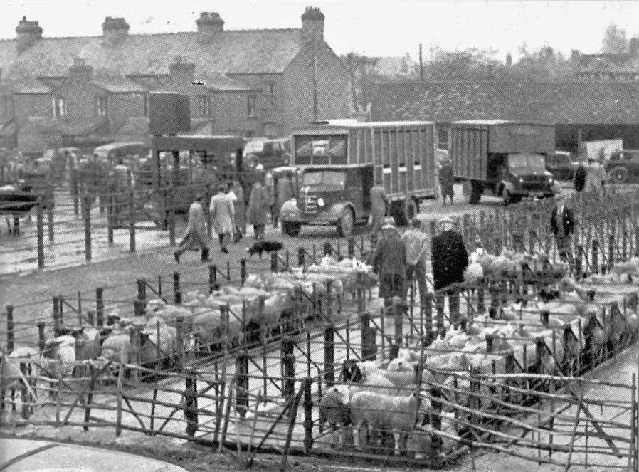 The Cattle Market in Victoria Road, pictured in 1952.